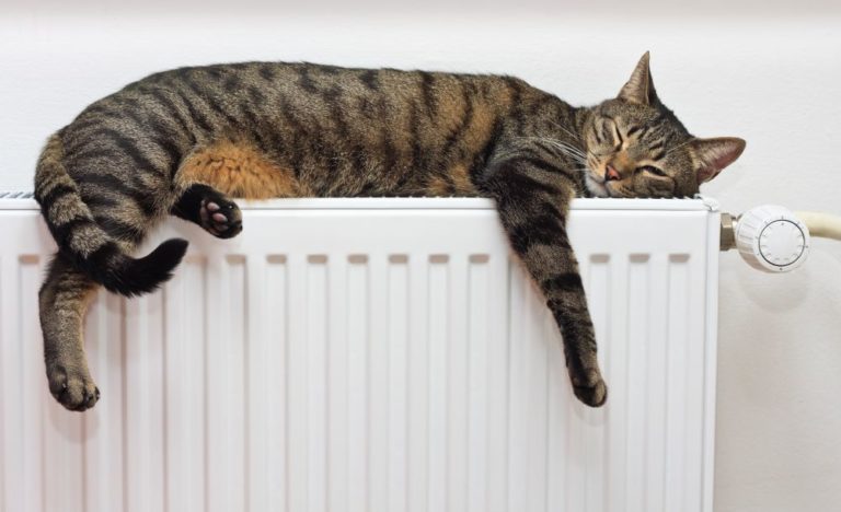 Få fuld kontrol over dit varmeforbrug med smartheating fra Danfoss